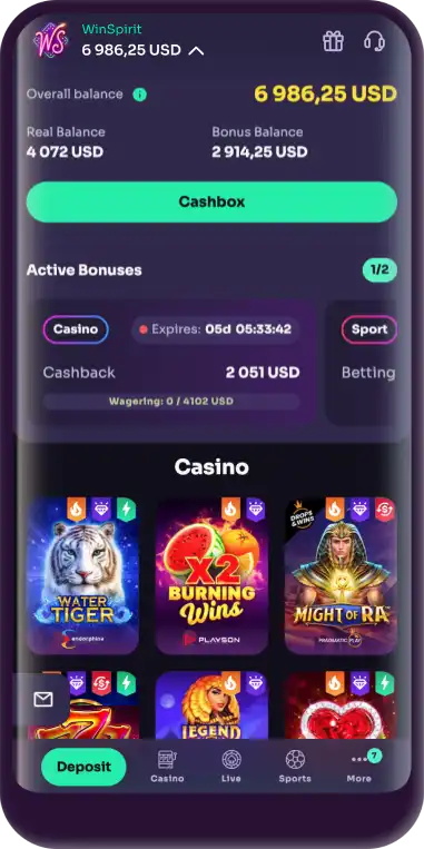 WinSpirit Mobile Version